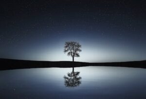 A solitary tree reflects in a tranquil lake under a starry night sky, creating a serene landscape.
