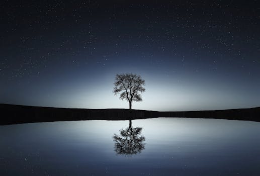 A solitary tree reflects in a tranquil lake under a starry night sky, creating a serene landscape.